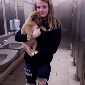 Meet your Posher, Alexis